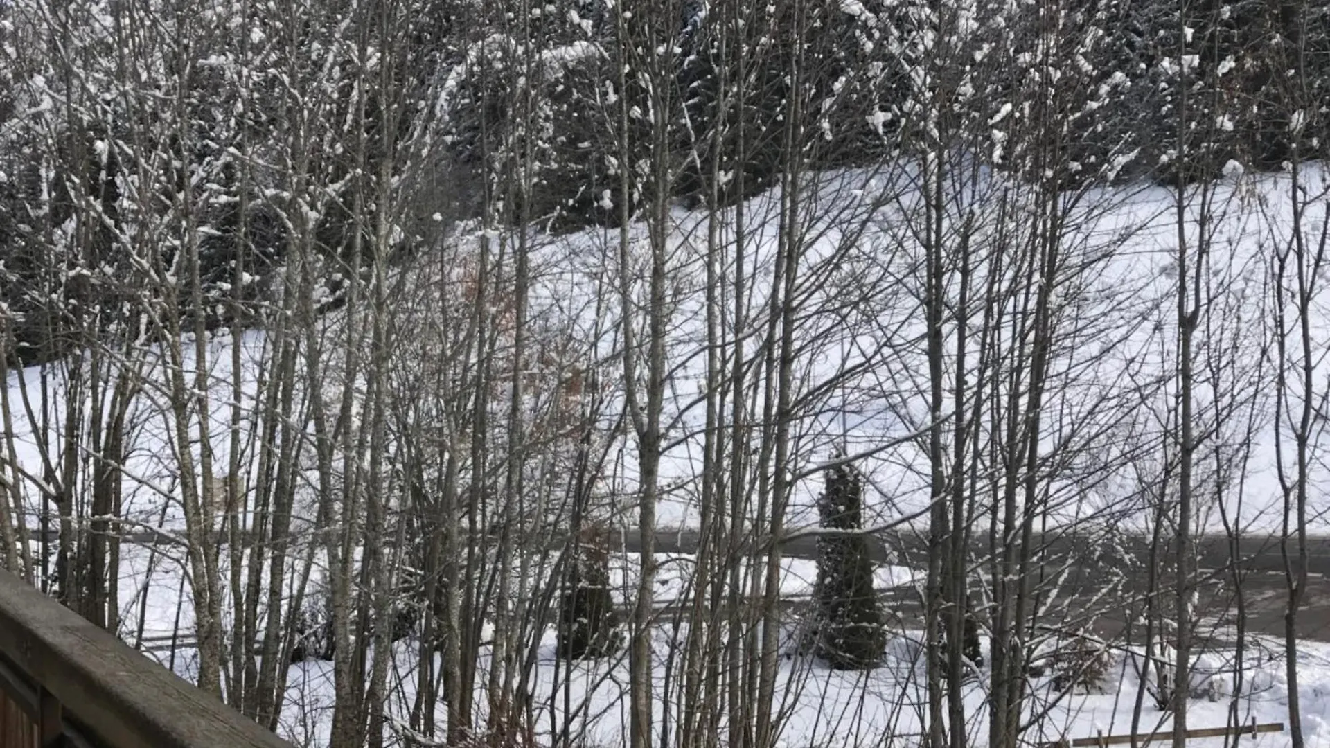 Apt Le Retour Aux Neiges - Les Gets 0*,  France
